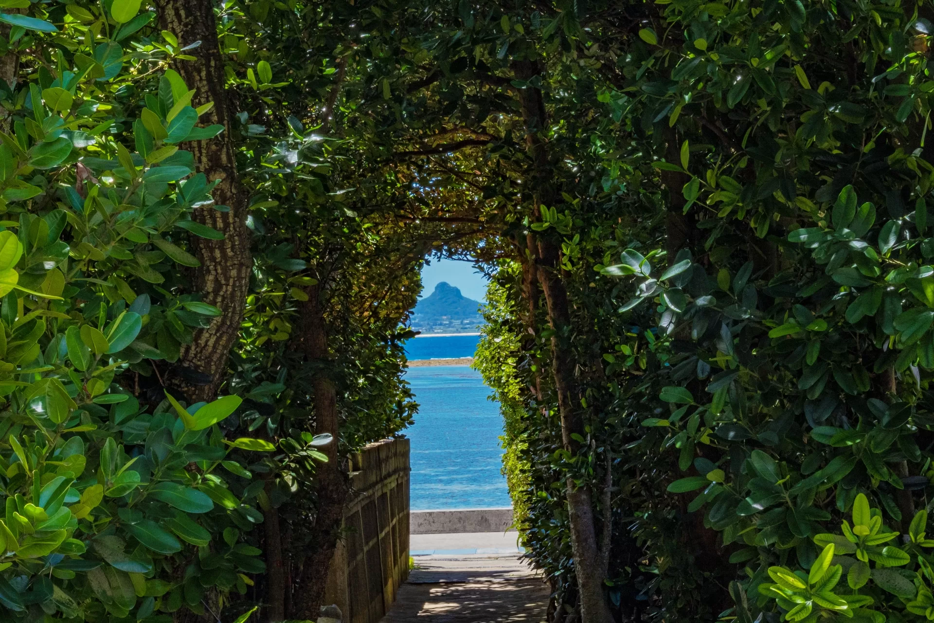 本部町