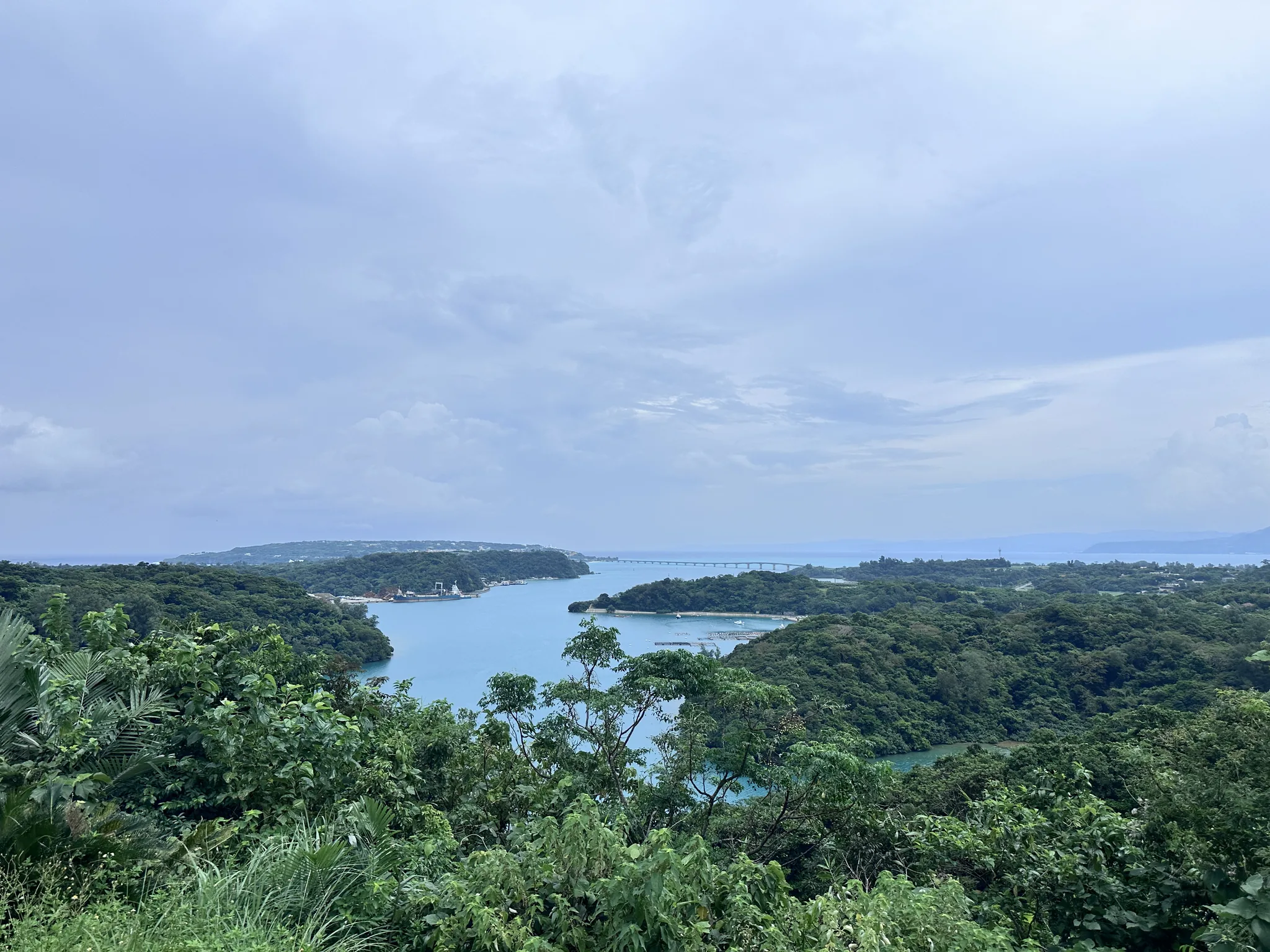 Warumi Strait and the bridge seen from the Rikarika rooftop