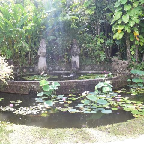 Southeast Botanical Gardens