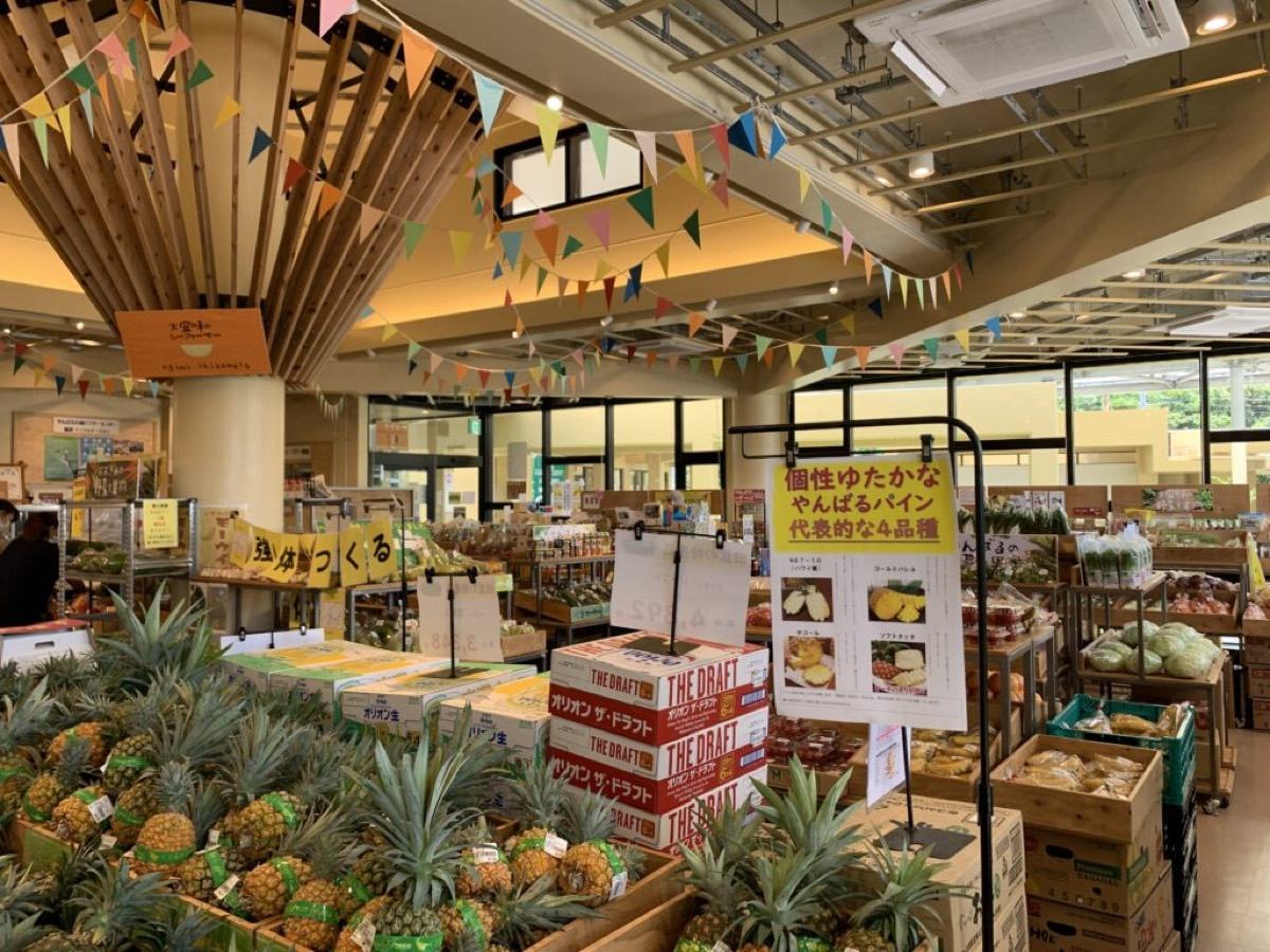 特産品販売所がじゅまる館の店内。パイナップルなどが並ぶ