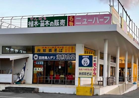 羽地の駅